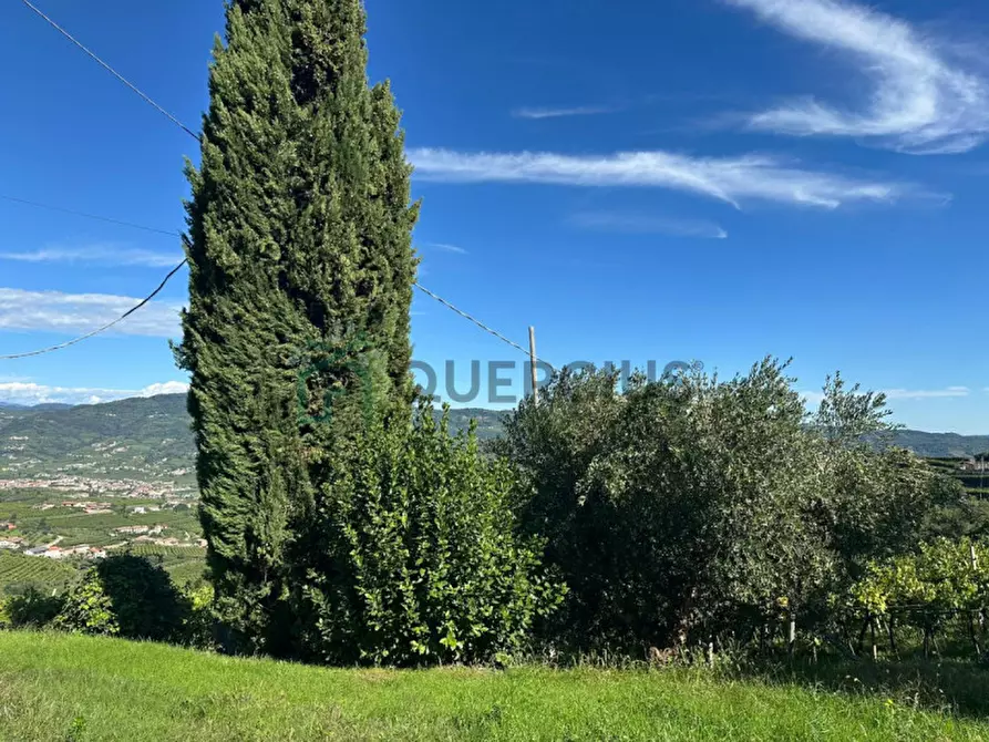 Immagine 13 di Rustico / casale in vendita  in Via Recoaretto a Soave