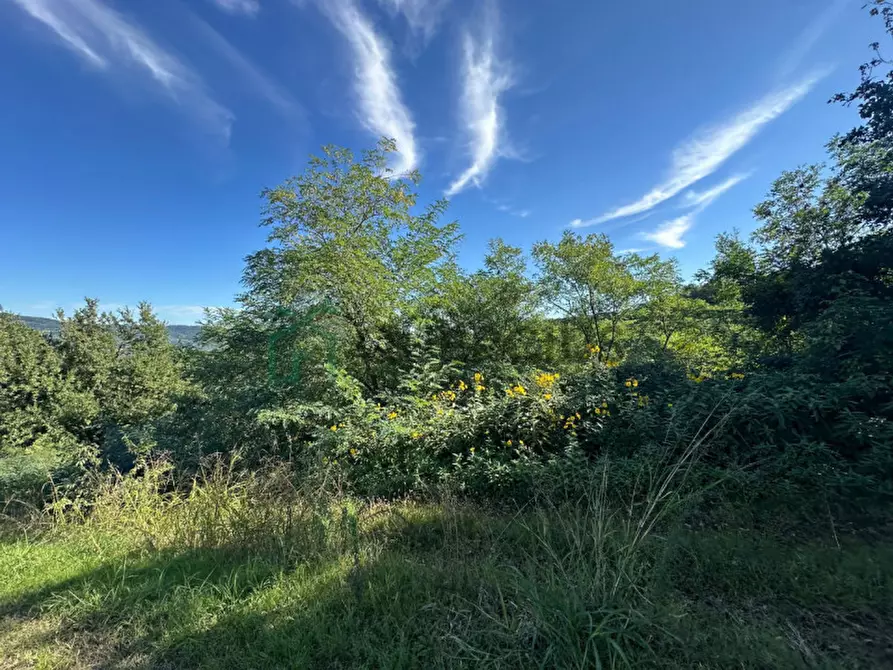 Immagine 15 di Rustico / casale in vendita  in Via Recoaretto a Soave