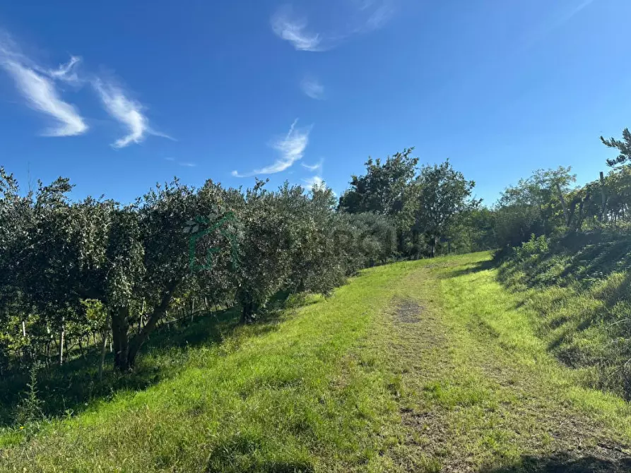 Immagine 16 di Rustico / casale in vendita  in Via Recoaretto a Soave