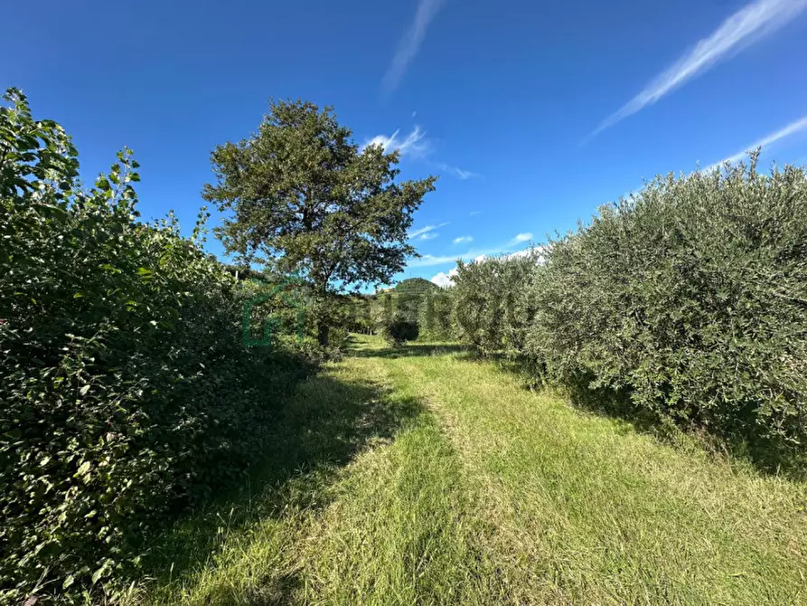 Immagine 17 di Rustico / casale in vendita  in Via Recoaretto a Soave