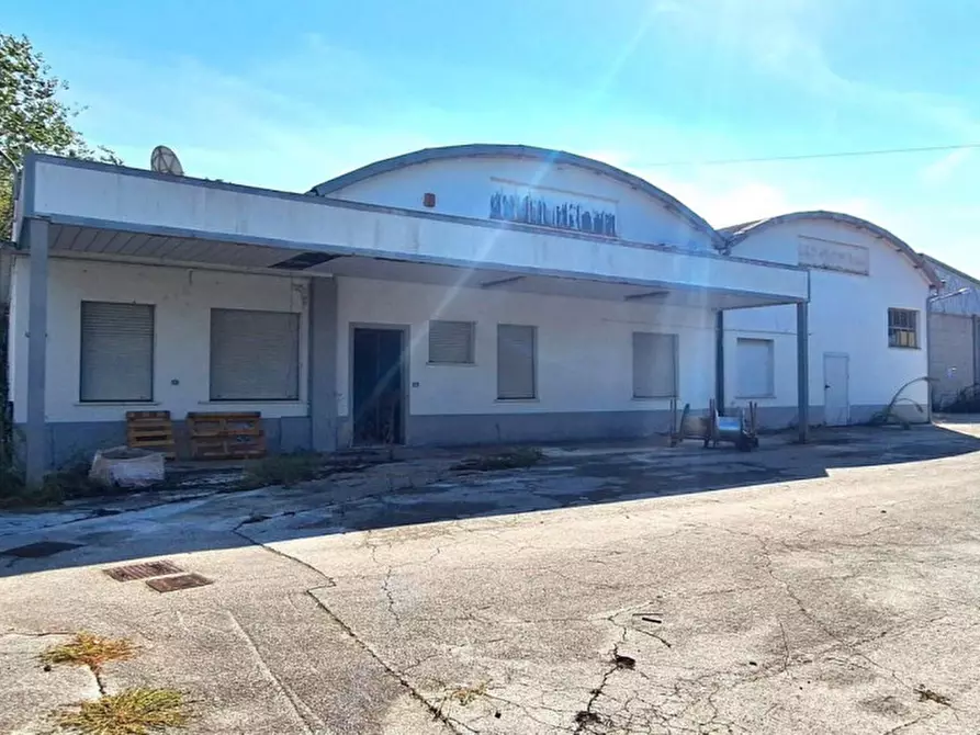 Immagine 5 di Capannone industriale in vendita  in Via Marinucci, N. 19 a Recanati
