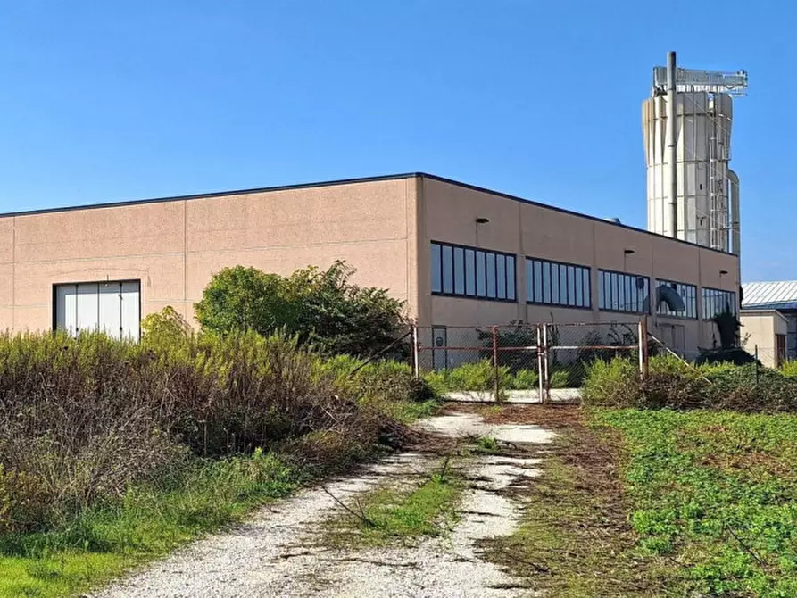 Immagine 10 di Capannone industriale in vendita  in Via Marinucci, N. 19 a Recanati