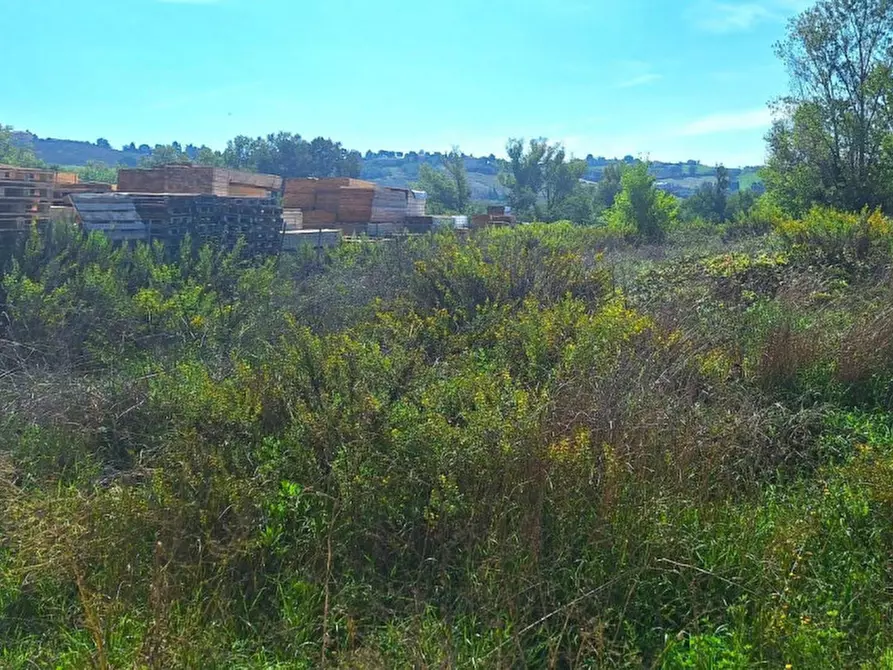 Immagine 3 di Terreno in vendita  in Via Marinucci, N. Snc a Recanati
