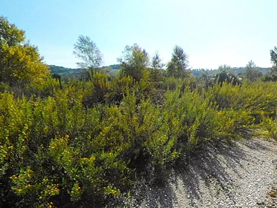 Immagine 4 di Terreno in vendita  in Via Marinucci, N. Snc a Recanati