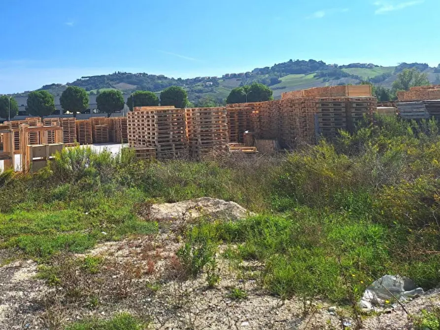 Immagine 5 di Terreno in vendita  in Via Marinucci, N. Snc a Recanati