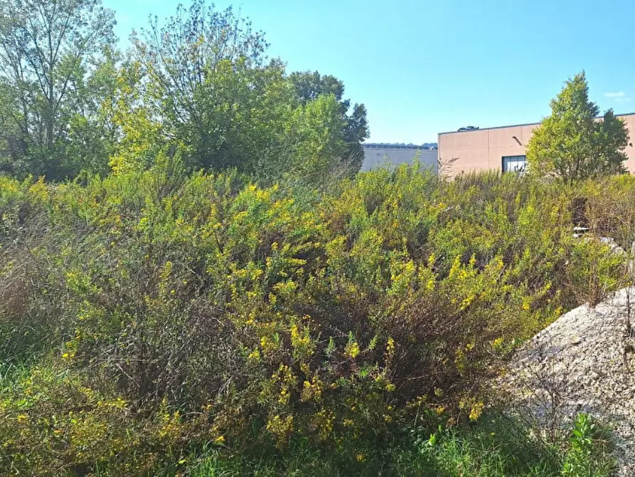 Immagine 6 di Terreno in vendita  in Via Marinucci, N. Snc a Recanati