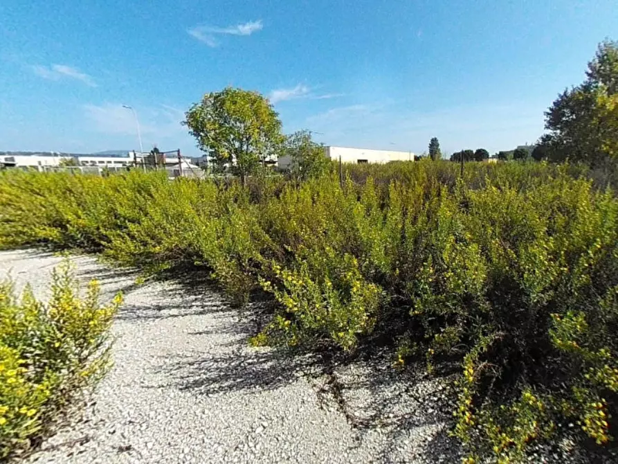 Immagine 7 di Terreno in vendita  in Via Marinucci, N. Snc a Recanati