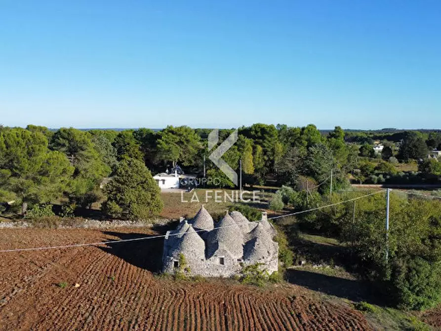 Immagine 1 di Rustico / casale in vendita  in strada porcile palesi a Martina Franca