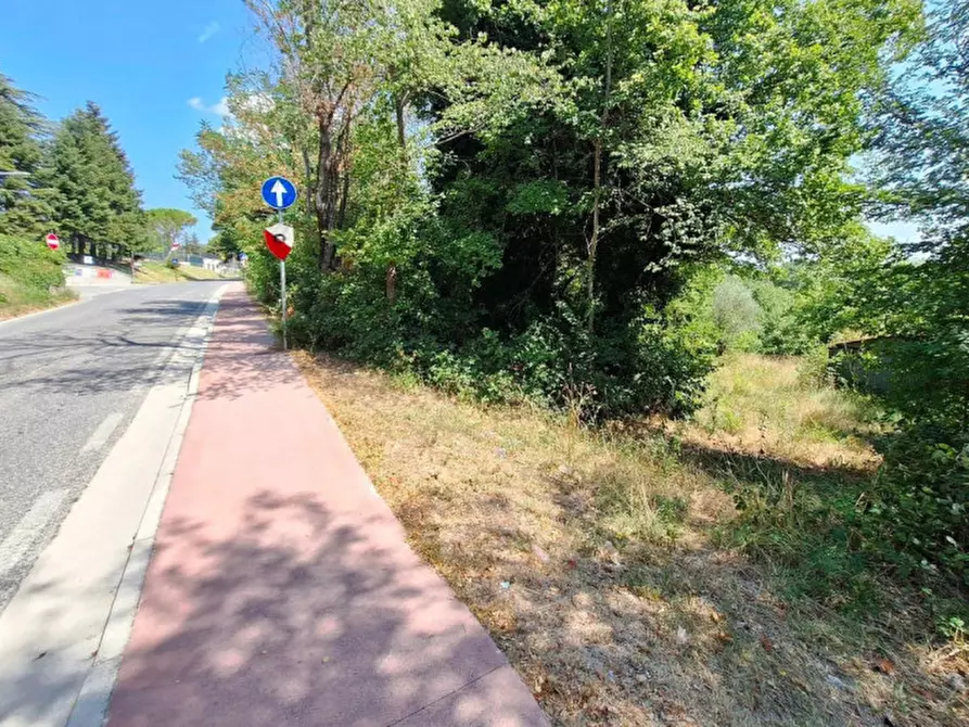 Immagine 2 di Terreno in vendita  in Strada Provinciale 45, N. snc a Pietrabruna