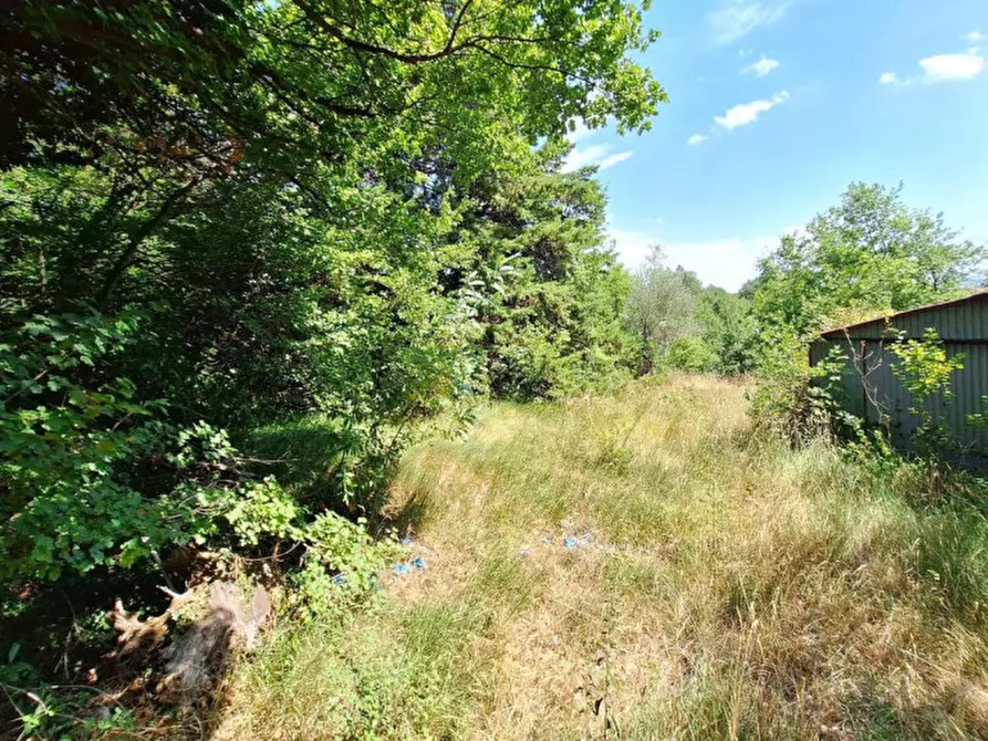 Immagine 3 di Terreno in vendita  in Strada Provinciale 45, N. snc a Pietrabruna