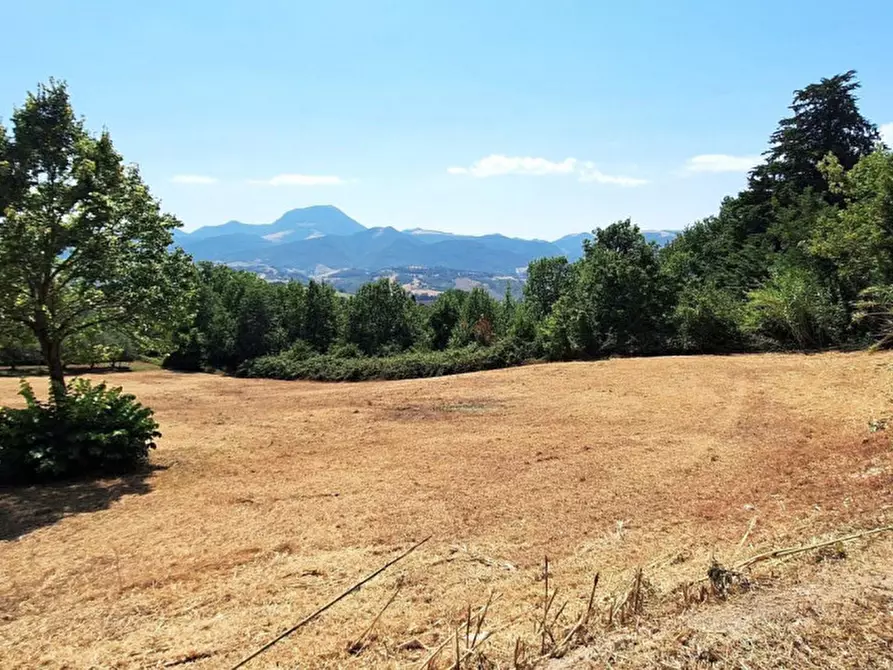 Immagine 4 di Terreno in vendita  in Strada Provinciale 45, N. snc a Pietrabruna