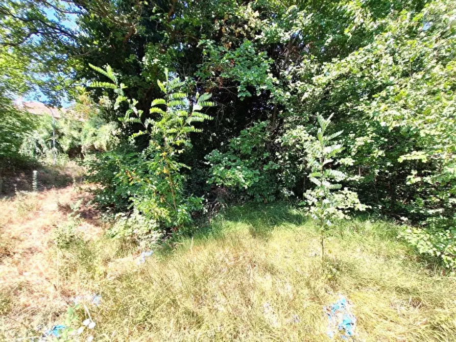 Immagine 7 di Terreno in vendita  in Strada Provinciale 45, N. snc a Pietrabruna