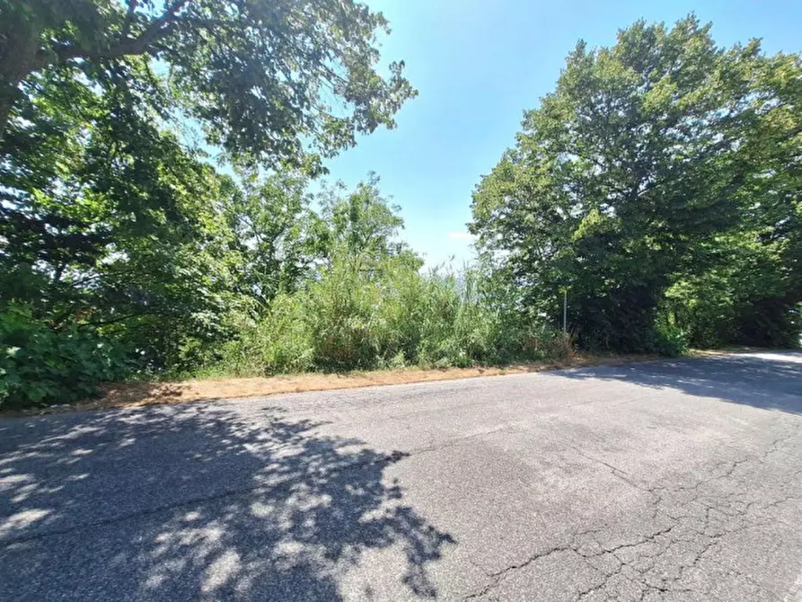 Immagine 9 di Terreno in vendita  in Strada Provinciale 45, N. snc a Pietrabruna