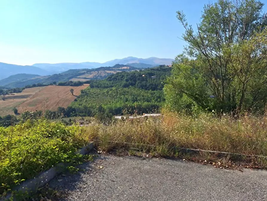 Immagine 3 di Terreno in vendita  in Strada Provinciale 45, N. snc a Pietrabruna