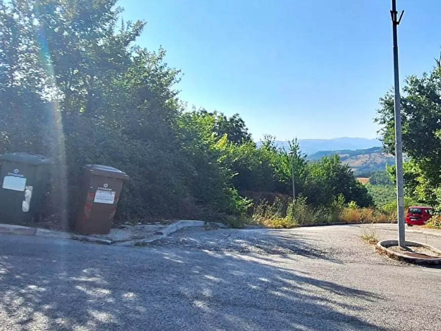 Immagine 4 di Terreno in vendita  in Strada Provinciale 45, N. snc a Pietrabruna