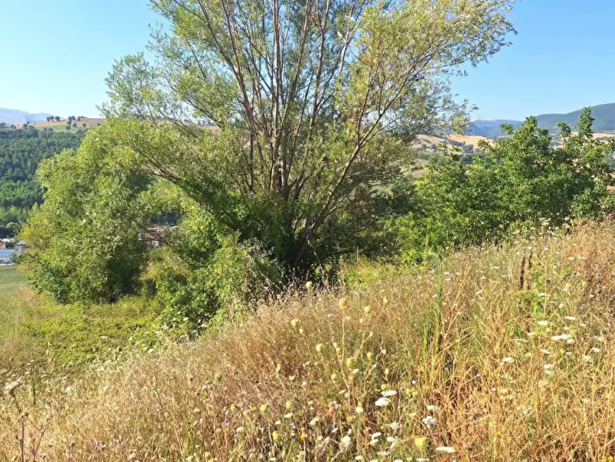Immagine 5 di Terreno in vendita  in Strada Provinciale 45, N. snc a Pietrabruna