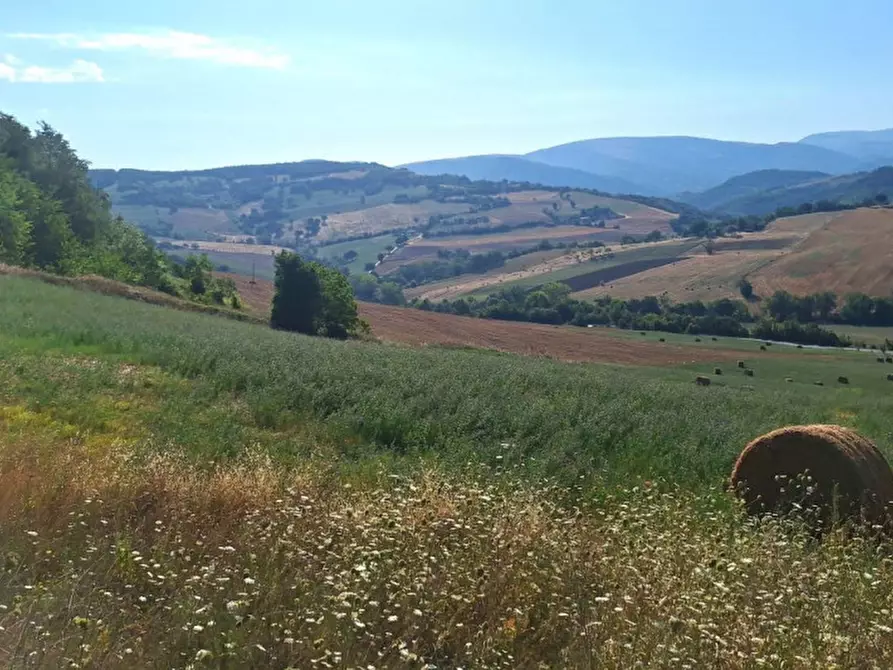 Immagine 10 di Terreno in vendita  in Strada Provinciale 45, N. snc a Pietrabruna