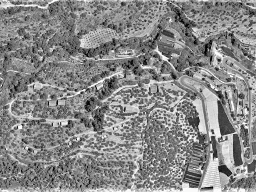 Immagine 12 di Terreno in vendita  in Strada Provinciale 45, N. snc a Pietrabruna