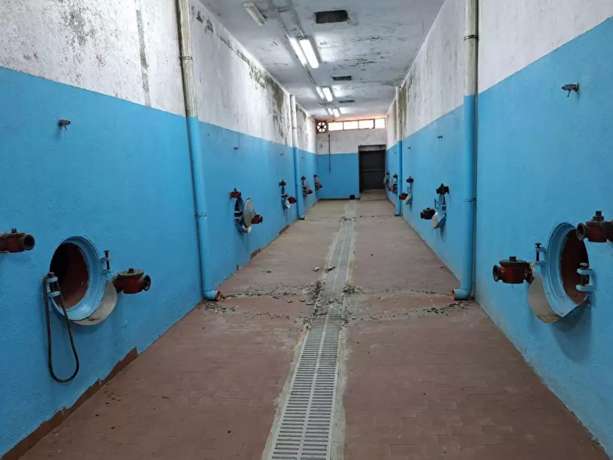 Immagine 19 di Capannone industriale in vendita  in Via Baccàsara, N. snc a Tortolì