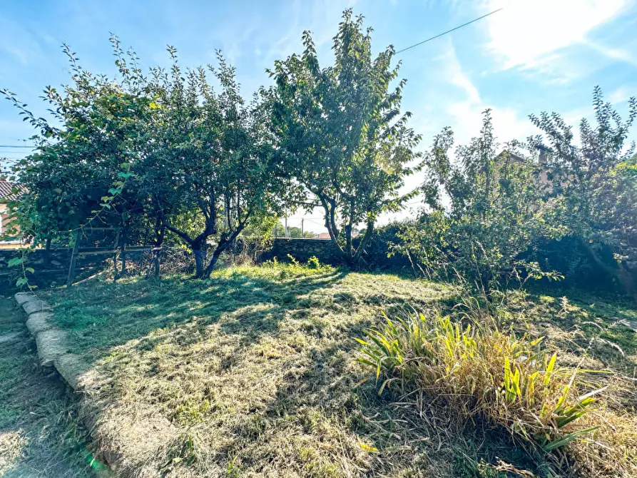Immagine 19 di Casa indipendente in vendita  in piazza vittorio veneto, 1 a Trarego Viggiona