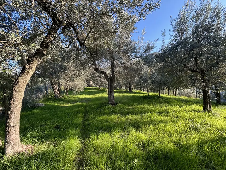 Immagine 1 di Terreno in vendita  in Casali Pacelli, 9 a Terni