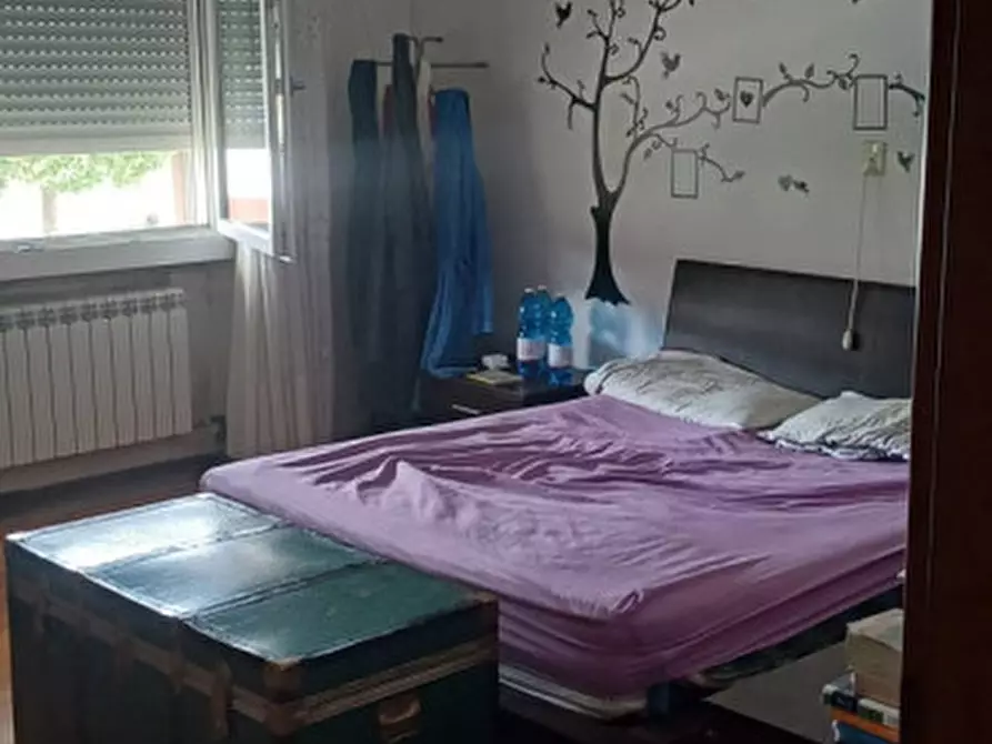 Immagine 21 di Villa in vendita  a Badia Polesine