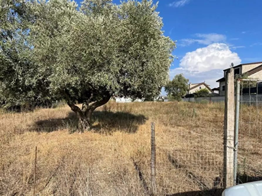 Immagine 1 di Terreno in vendita  in Via Monte del Marmo a Roma