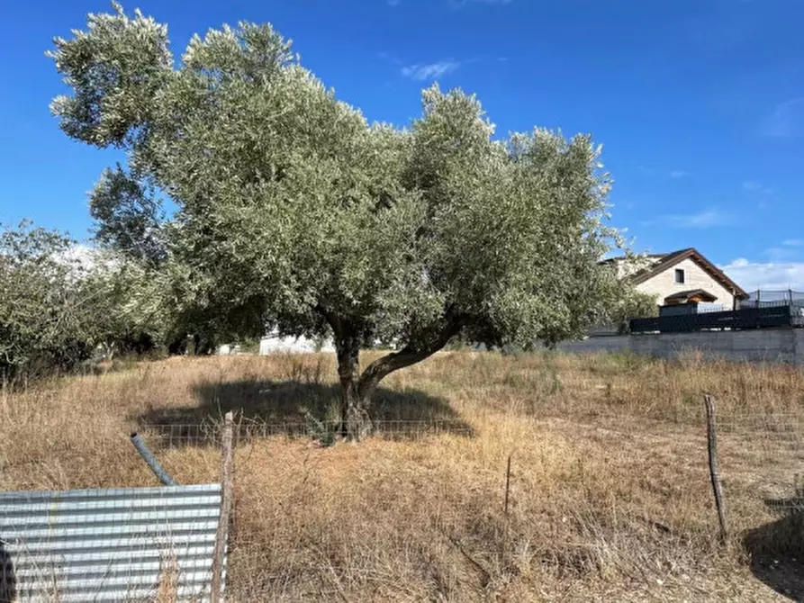 Immagine 3 di Terreno in vendita  in Via Monte del Marmo a Roma