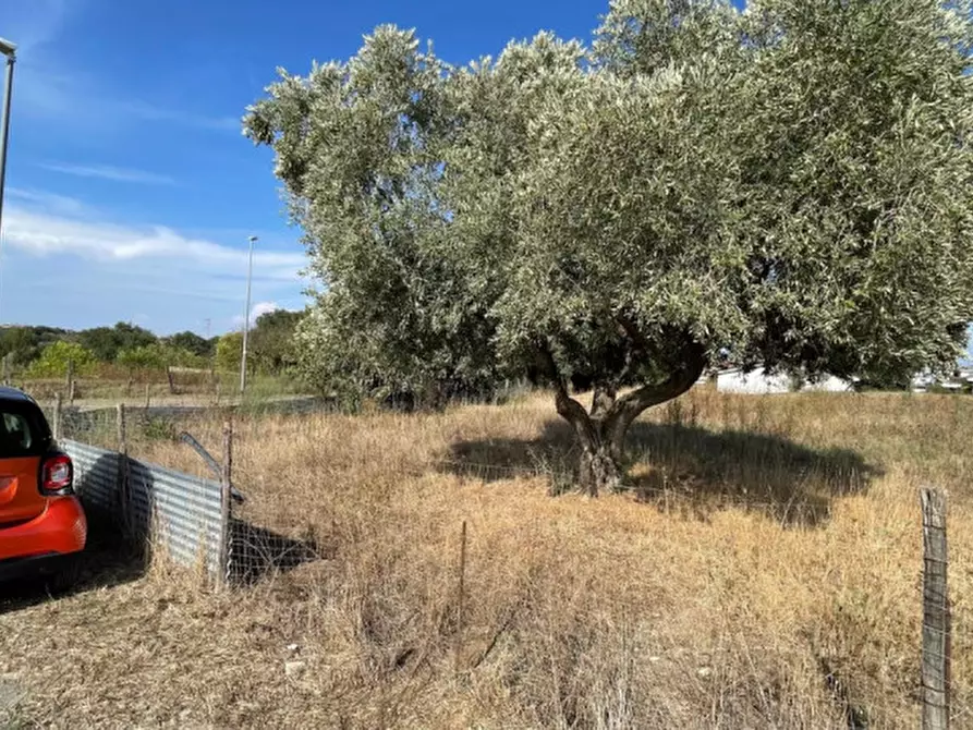Immagine 6 di Terreno in vendita  in Via Monte del Marmo a Roma