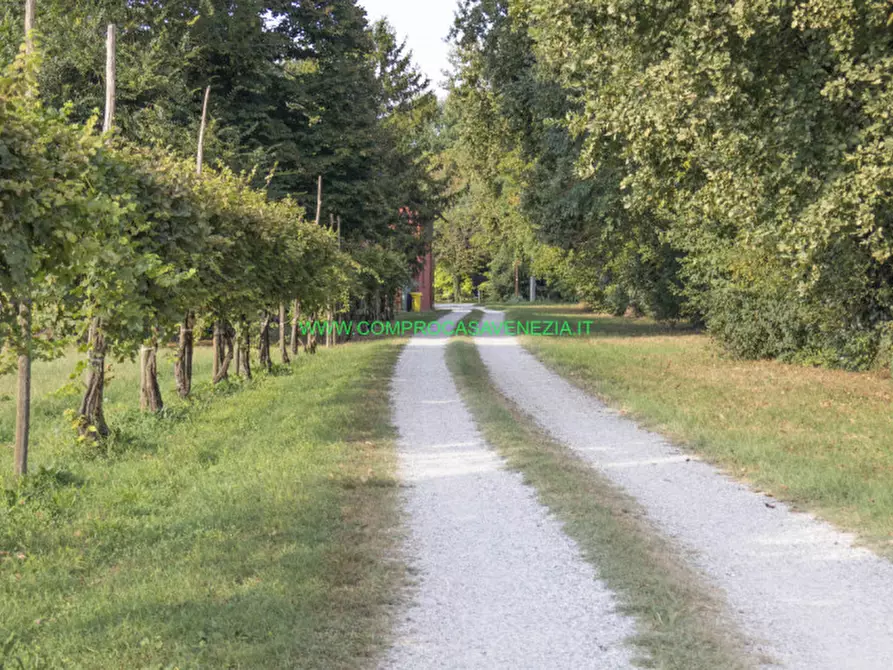 Immagine 1 di Casa bifamiliare in vendita  in marano a Mira