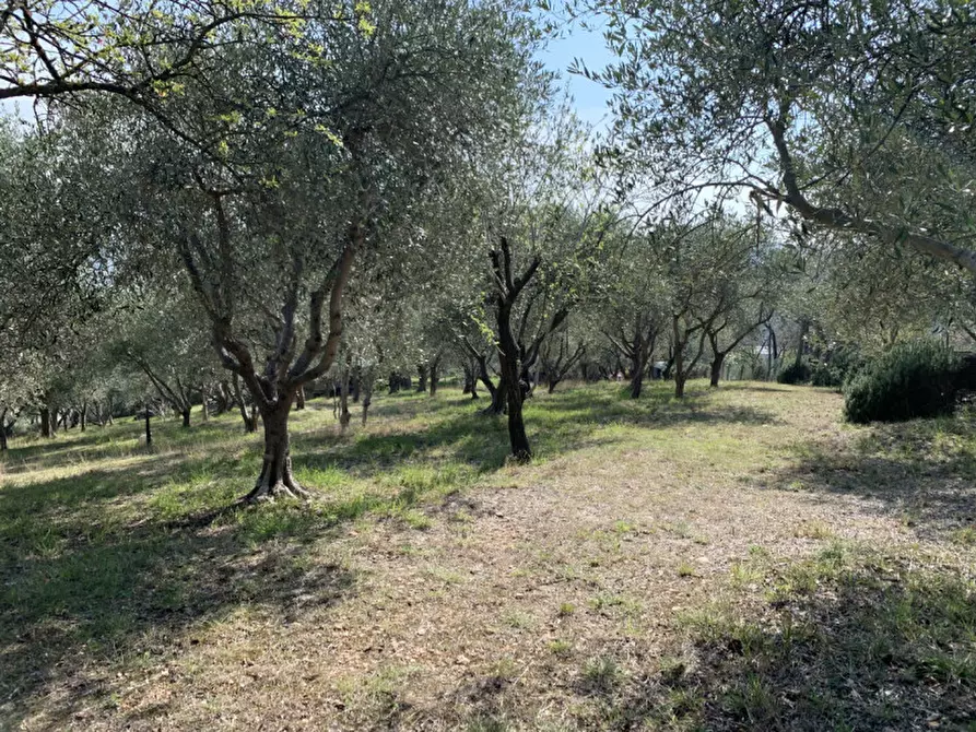 Immagine 4 di Villa in vendita  a Arqua' Petrarca