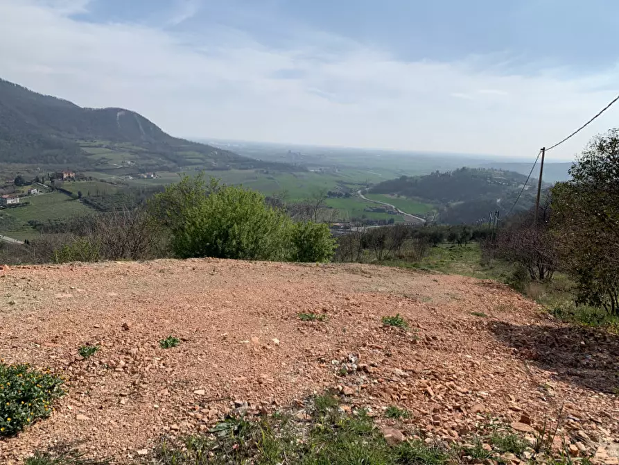 Immagine 6 di Villa in vendita  a Arqua' Petrarca