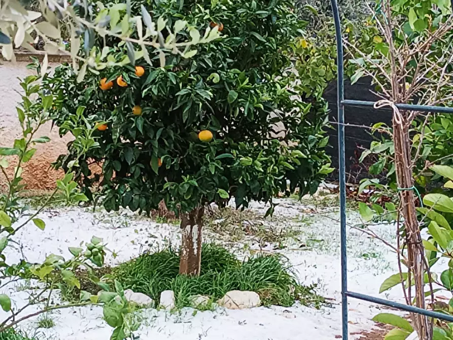 Immagine 15 di Villa in vendita  in C.da Mastrofrancesco a Ostuni