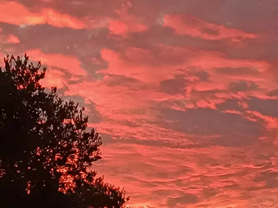 Immagine 17 di Villa in vendita  in C.da Mastrofrancesco a Ostuni