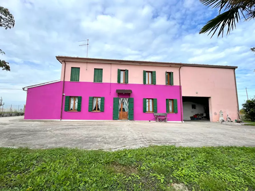 Immagine 4 di Casa indipendente in vendita  in Candiana a Candiana