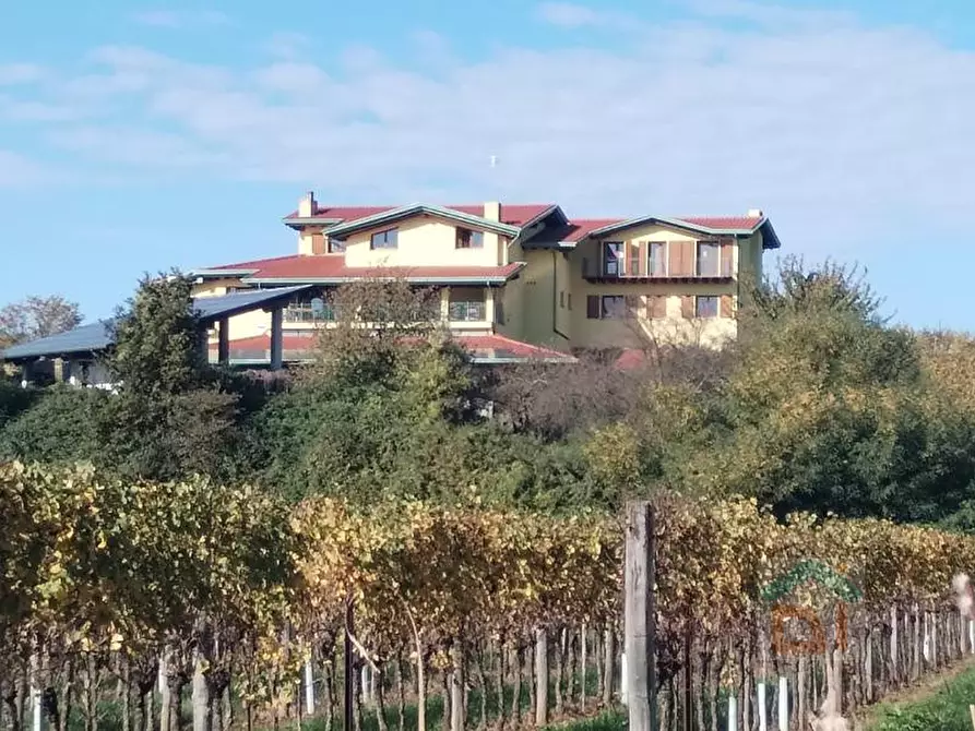 Immagine 1 di Agriturismo in vendita  in località gradiscutta 4/d a Gorizia