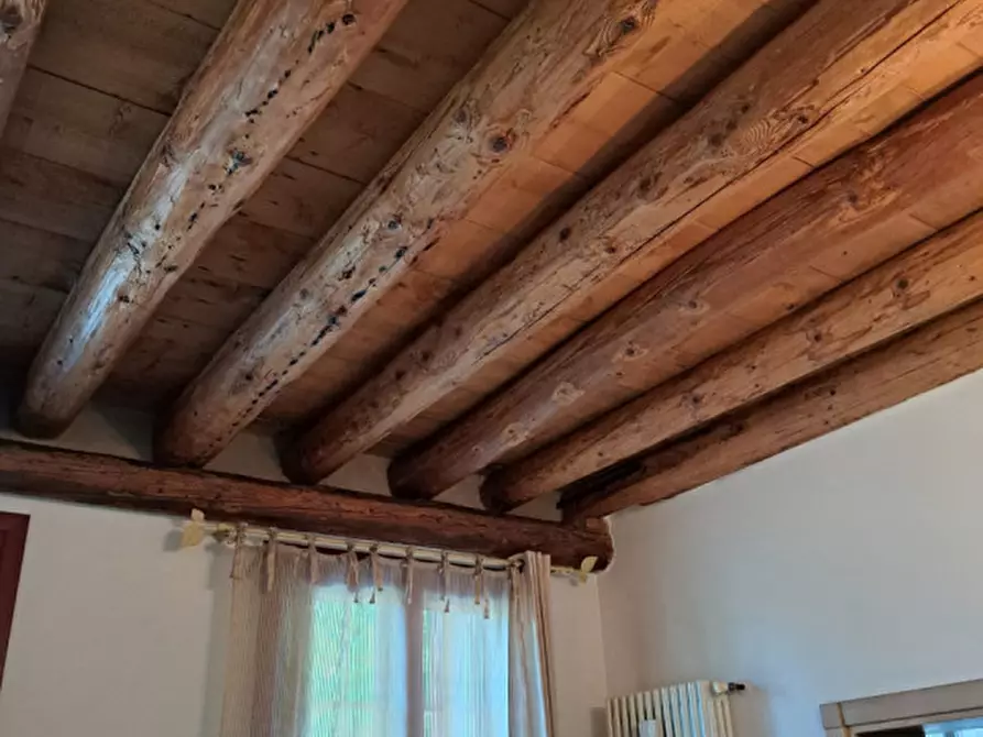 Immagine 11 di Casa indipendente in vendita  in san pietro viminario a San Pietro Viminario