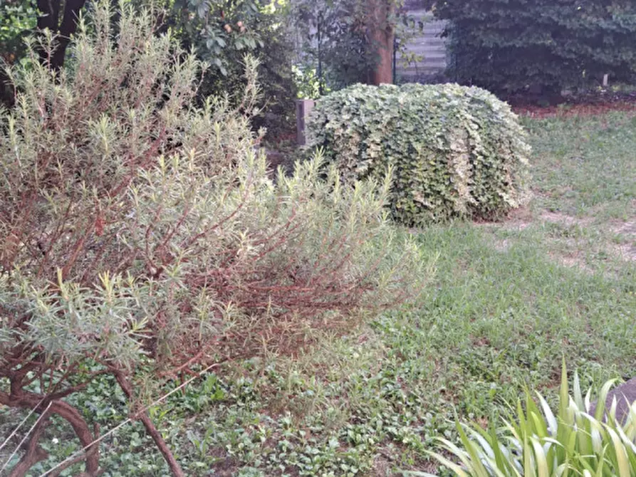 Immagine 32 di Casa indipendente in vendita  in san pietro viminario a San Pietro Viminario