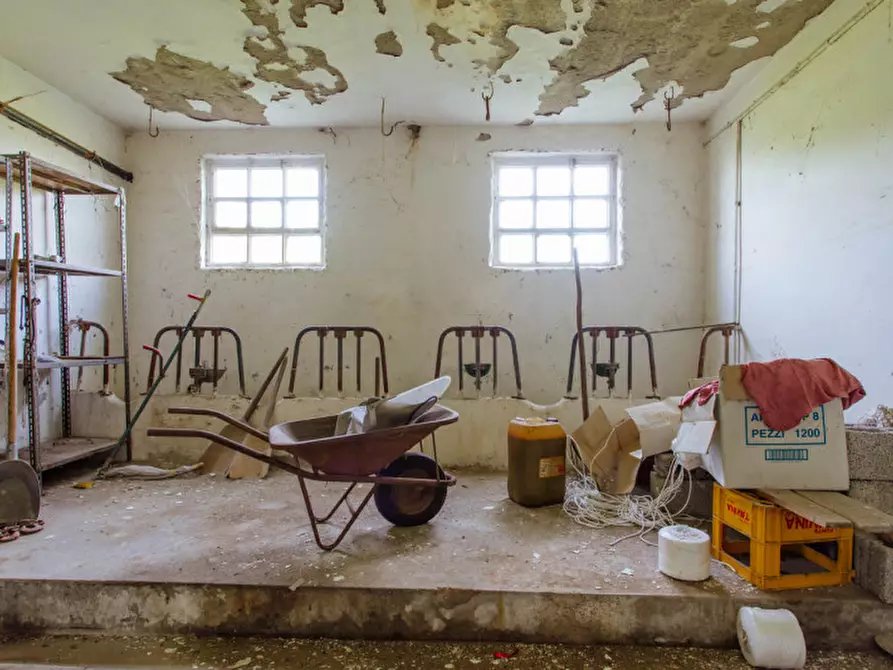 Immagine 7 di Casa indipendente in vendita  a Conselve