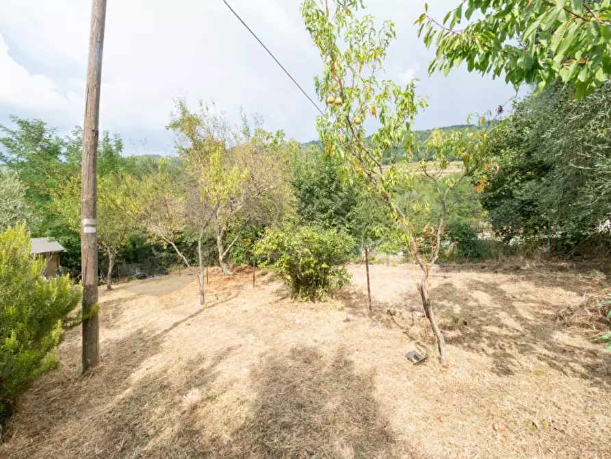 Immagine 22 di Appartamento in vendita  in pinzano a Rufina