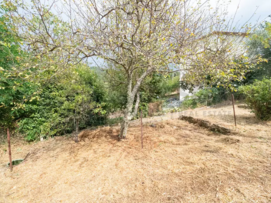 Immagine 24 di Appartamento in vendita  in pinzano a Rufina