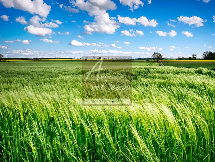 Immagine 1 di Terreno in vendita  in BORGO BASSANO a Cittadella