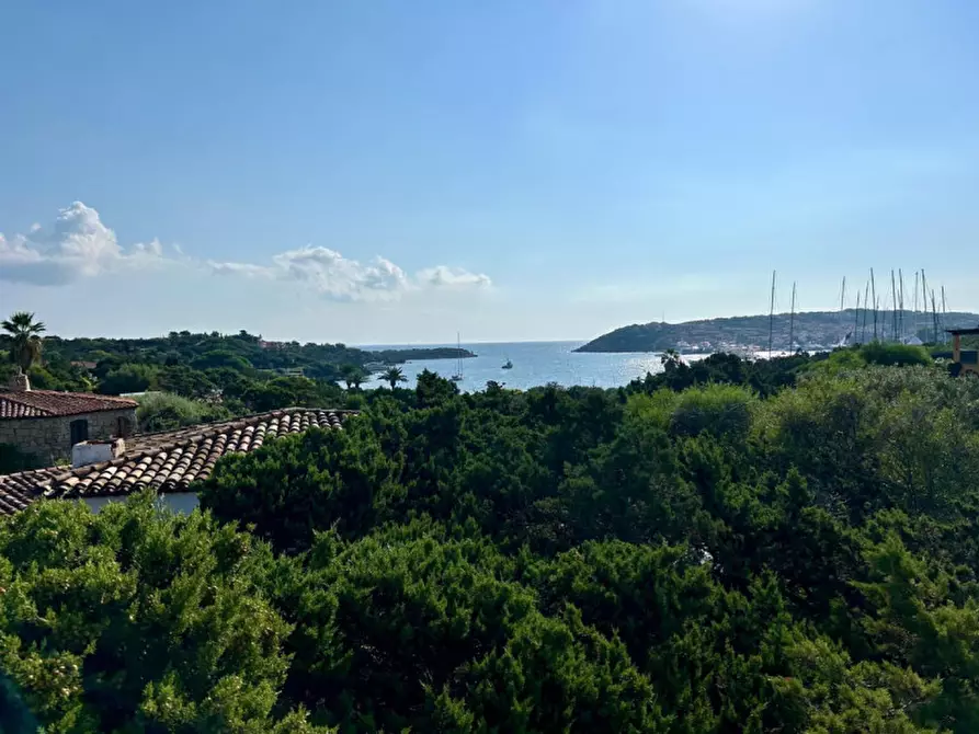 Immagine 25 di Villa in vendita  in via del timone a Arzachena