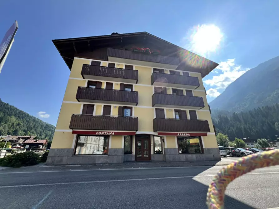 Immagine 1 di Appartamento in vendita  a Santo Stefano Di Cadore