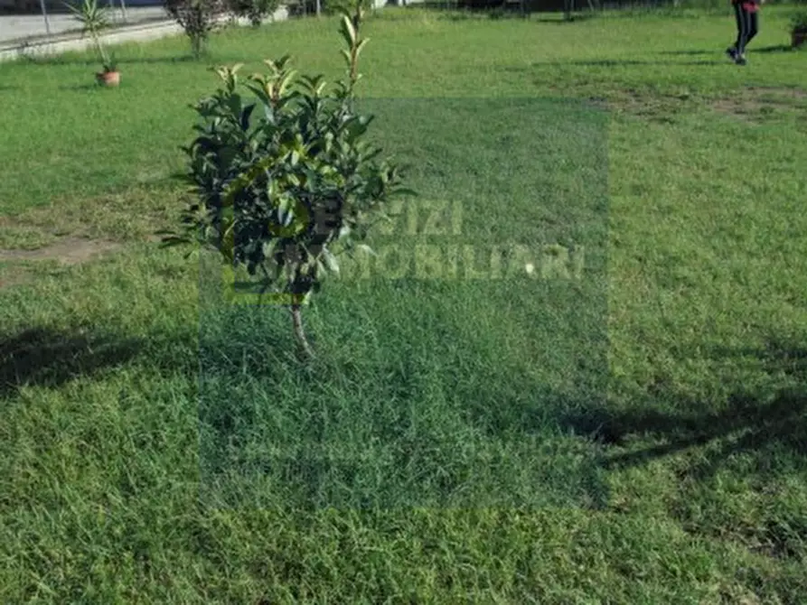 Immagine 21 di Casa bifamiliare in vendita  a Riva Del Po