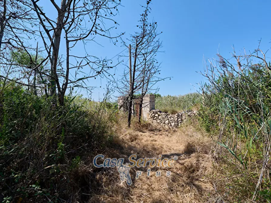 Immagine 1 di Rustico / casale in vendita  in Sp 239 a Gallipoli