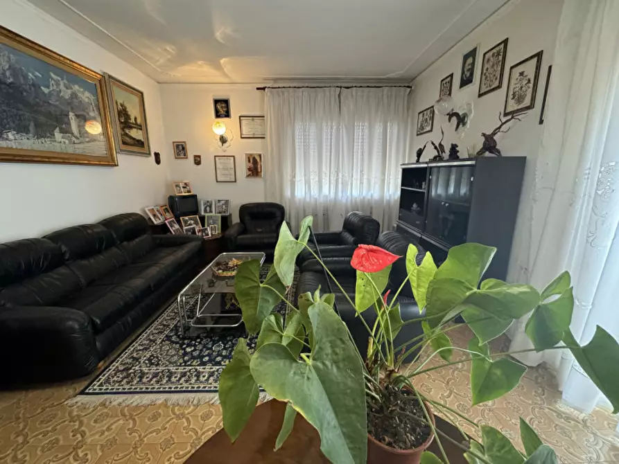 Immagine 22 di Villa in vendita  in Via Sant'Alberto, 19 a Badia Polesine