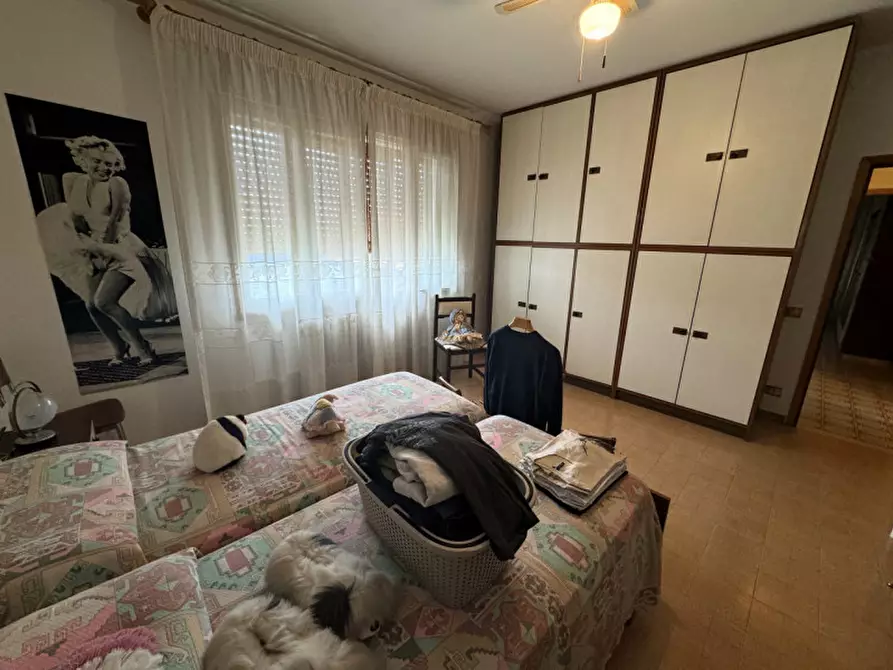 Immagine 38 di Villa in vendita  in Via Sant'Alberto, 19 a Badia Polesine