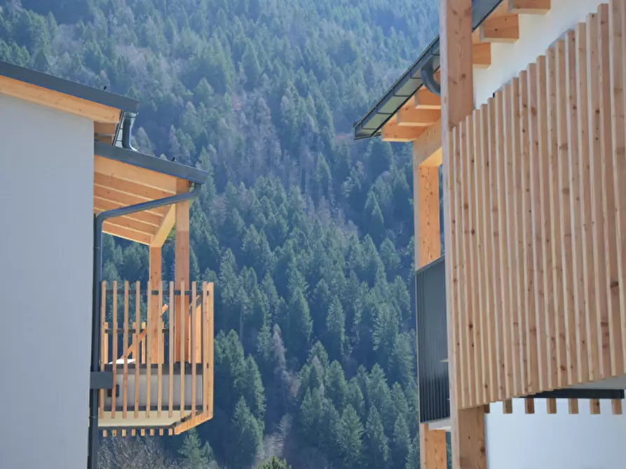 Immagine 18 di Appartamento in vendita  in Via ai Closerini a Pelugo