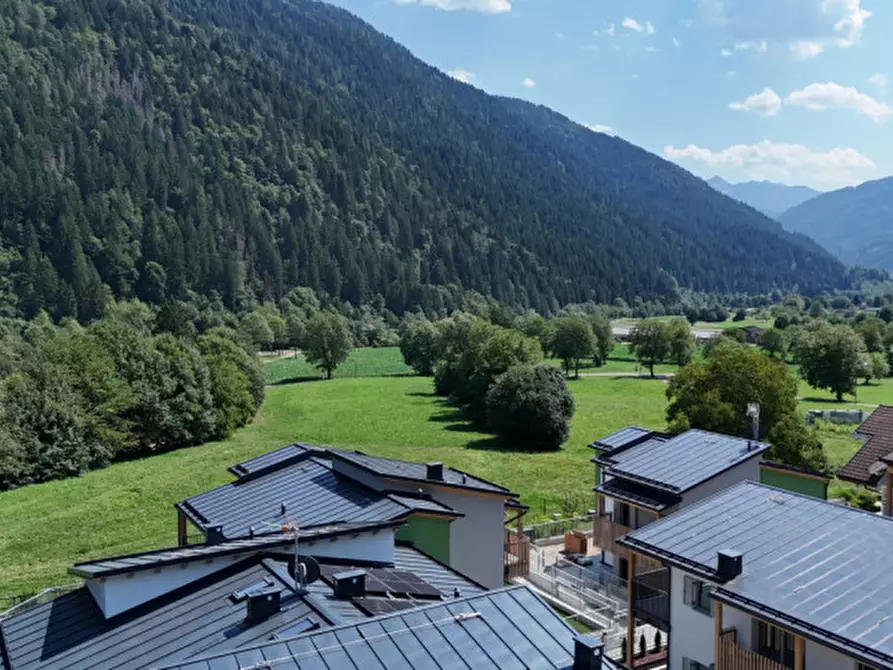Immagine 40 di Appartamento in vendita  in Via ai Closerini a Pelugo